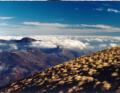 Monte Galero e Monte Carmo (Alpi Liguri)